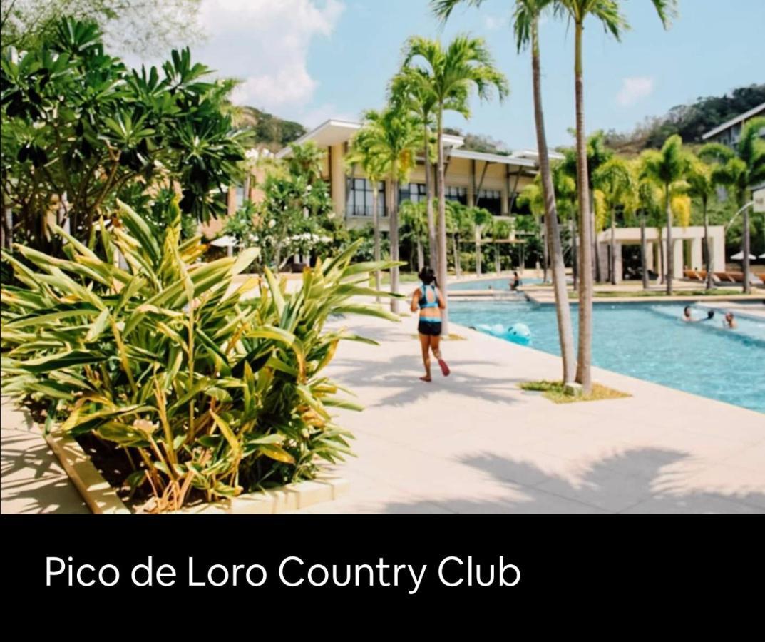 Pico De Loro 2 Bd Garden Loft With Lagoon View Nasugbu Eksteriør billede