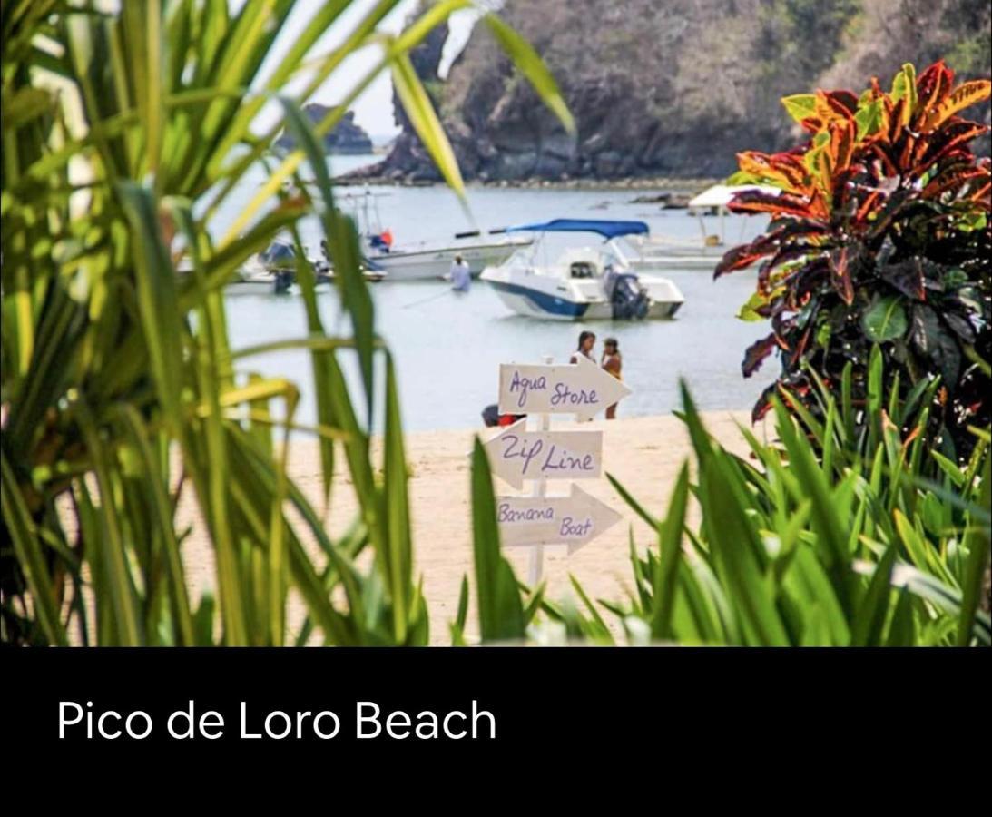 Pico De Loro 2 Bd Garden Loft With Lagoon View Nasugbu Eksteriør billede
